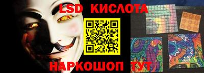 гидропоника Новозыбков