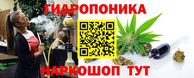 гидропоника Новозыбков