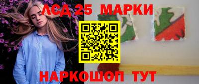 гидропоника Новозыбков
